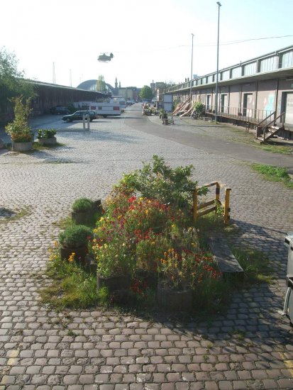 Frühsommerblumen