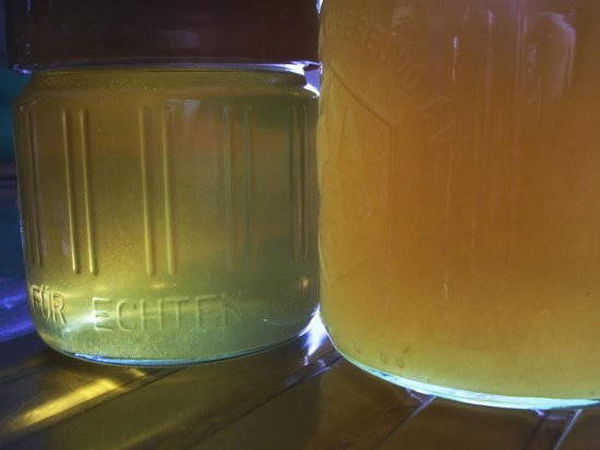 2016er Honig: Nichtgerührt & Gerührt