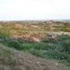 Auf Langeoog