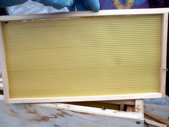 Rähmchen 10b