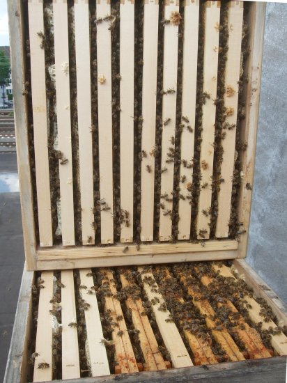 Unterseite Brutraum 2