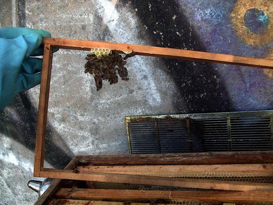 Baurahmen grad angefangen