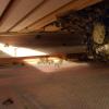 Flugloch im Spotlight