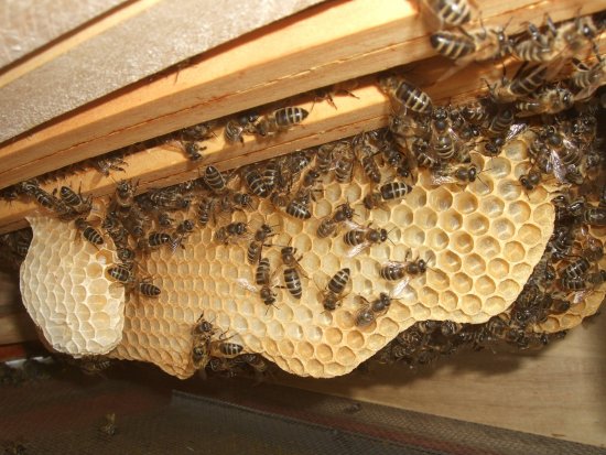 Verbau repariert & weitergebaut