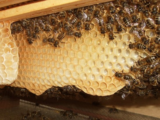 Kondenswasser in den Zellen