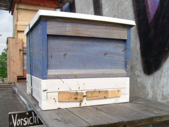 Kasten 2 leicht verkotet