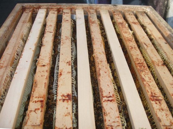 Gut 7 Gassen belegt (K1B2) 