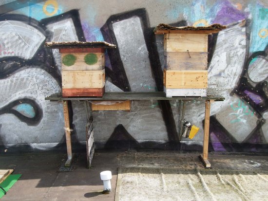 Erster richtiger Ausflug