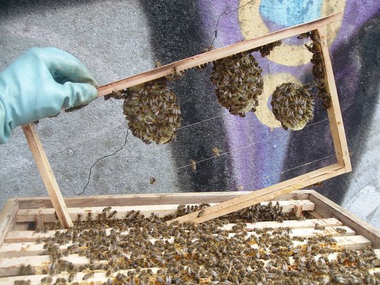 Baurahmenausbau. Kasten 2