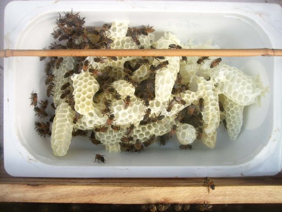 Naturbau repariert. K4