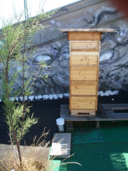 K5 mit 3. Honigraum in Flachzarge