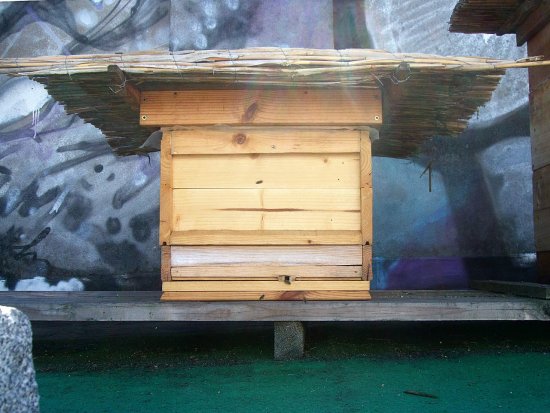 NEU: K6, heut' angesetzt