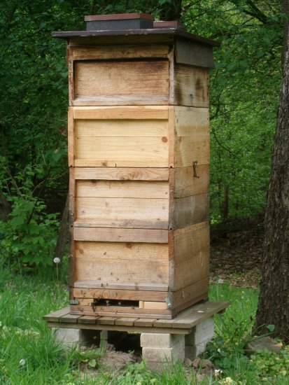 K4 hat seinen 2. Honigraum bekommen