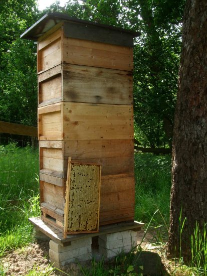 Dritter Honigraum für K4