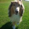 Murphy, 9 Jahre
