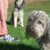 Freddy & Holly, 6 & 11 Jahre