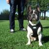Freddy, 3 Jahre