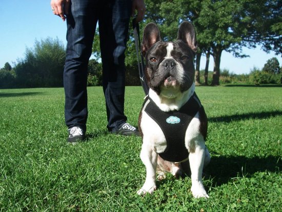 Freddy, 3 Jahre