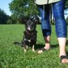 Lilly, 8 Jahre
