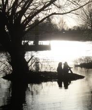 Flut
