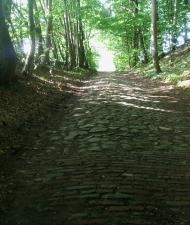 Alte Strasse