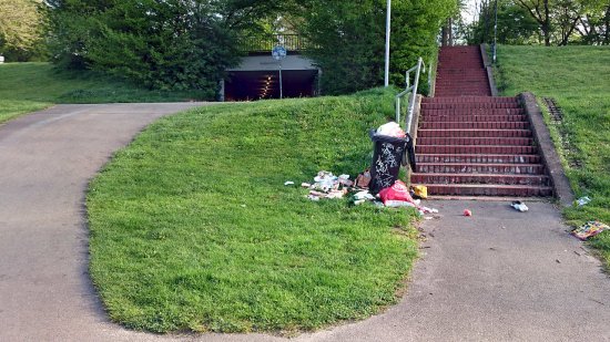 Müll in der Weser-Aue