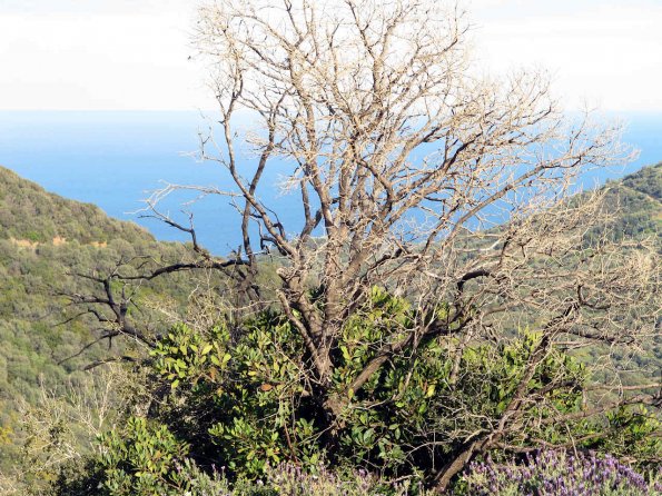 _20220411175646_sx200is_GR